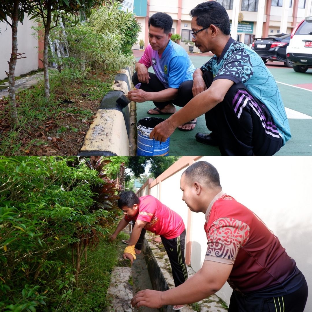 pic patgr 31012025 width=